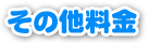 その他んお料金